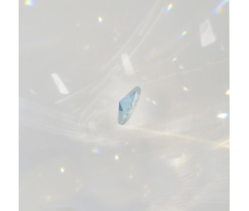 Pieza 8853/008 000 Swarovski Crystal